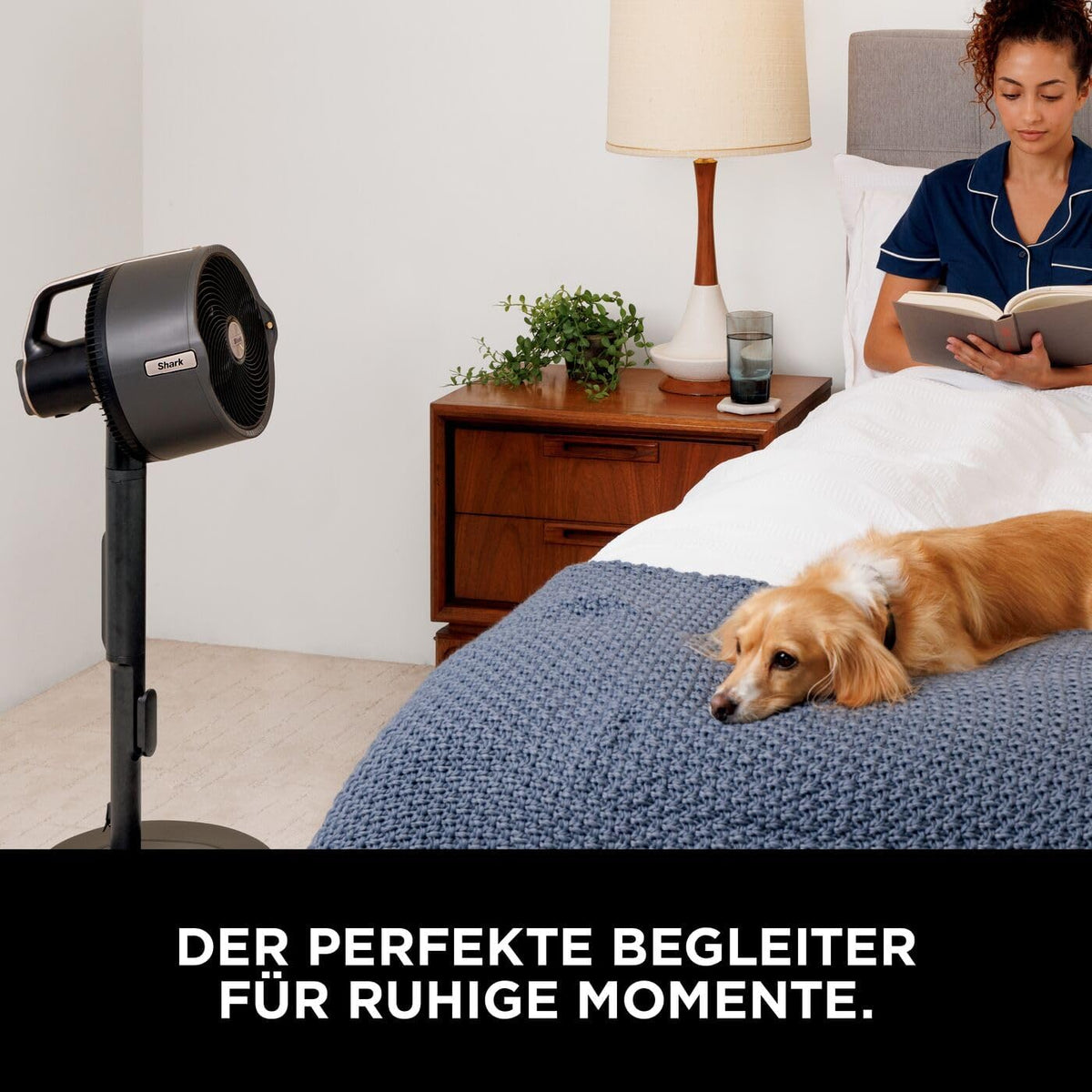 Akku Ventilator mit Sprühsystem FA300EU Stand- und Tischventilator 5 Geschwindigkeiten Fernbedienung 24h Laufzeit