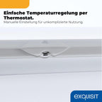 Gefrierschrank 87L GS581-040C weiss 85,5cm 40dB 4 Sterne Gefrieren manuelle Temperaturregelung