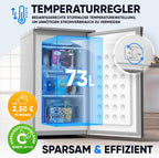 Mini Gefrierschrank 73L 4 Sterne GS-75.2-C freistehend 41 dB Energieklasse C 3 Fächer wechselbarer Türanschlag Silber
