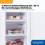 Gefrierschrank 87L GS581-040C weiss 85,5cm 40dB 4 Sterne Gefrieren manuelle Temperaturregelung