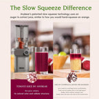 Slow Juicer SJ054C Kaltentsafter 200 W mit 110 mm Einfüllschacht für ganze Früchte und Gemüse BPA-frei
