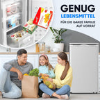Mini Gefrierschrank 73L 4 Sterne GS-75.2-C freistehend 41 dB Energieklasse C 3 Fächer wechselbarer Türanschlag Silber