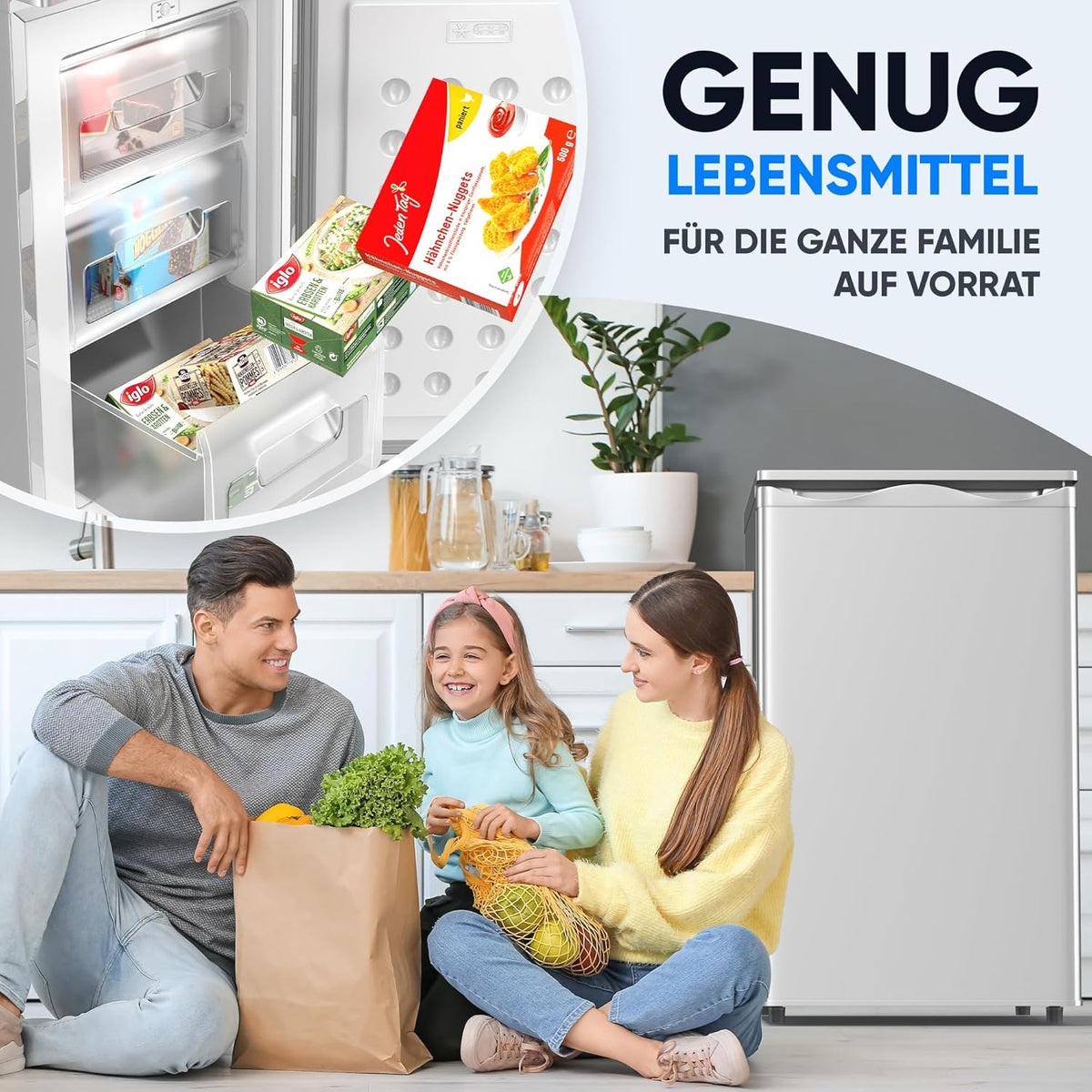 Mini Gefrierschrank 73L 4 Sterne GS-75.2-C freistehend 41 dB Energieklasse C 3 Fächer wechselbarer Türanschlag Silber
