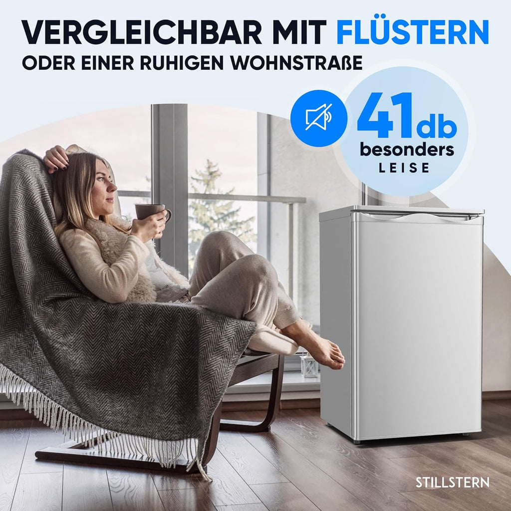 Mini Gefrierschrank 73L 4 Sterne GS-75.2-C freistehend 41 dB Energieklasse C 3 Fächer wechselbarer Türanschlag Silber