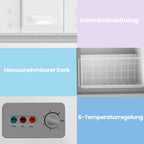 Freezer 200 L RCC201WH6(E) 41 dB Inverter Kompressor 6-stufige Temperaturregelung LED-Beleuchtung freistehend