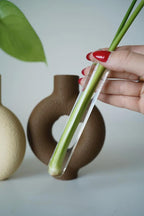 Minimalistische Wandvase für Pflanzenableger | Reagenzglashalter | Skandinavisch Japandi