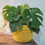 Moderner Blumentopf XXL - Geometrischer Pflanztopf aus PLA, Minimalistisches Design für Innen, 10-25cm