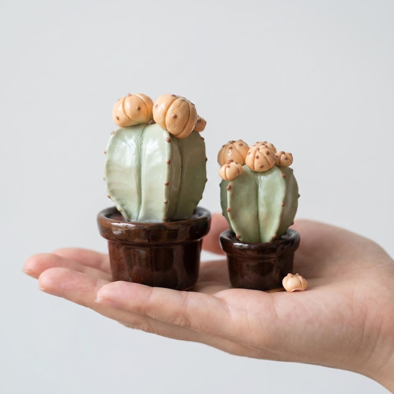 Mini Keramik Kaktus Figur Set, 2er Set, Kleiner Topf Sukkulente, Boho Regal Schreibtiscash Dekor, Geschenk für Pflanzenliebhaber