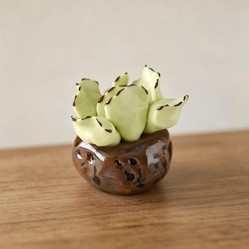 Keramik Sukkulenten Set, Mini Kaktus Schreibtisch Dekor, handgefertigte Pflanzen Ornamente, 3 Stück