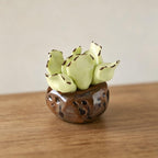 Keramik Sukkulenten Set, Mini Kaktus Schreibtisch Dekor, handgefertigte Pflanzen Ornamente, 3 Stück