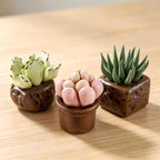 Keramik Sukkulenten Set, Mini Kaktus Schreibtisch Dekor, handgefertigte Pflanzen Ornamente, 3 Stück