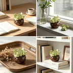 Keramik Sukkulenten Set, Mini Kaktus Schreibtisch Dekor, handgefertigte Pflanzen Ornamente, 3 Stück