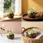 Keramik Sukkulenten Set, Mini Kaktus Schreibtisch Dekor, handgefertigte Pflanzen Ornamente, 3 Stück